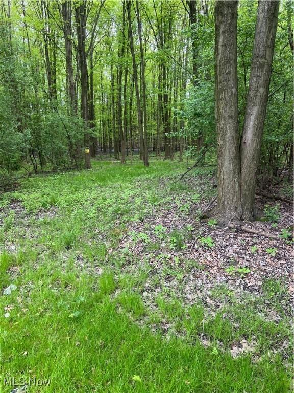 1025 Ohltown Rd, Youngstown, OH 44515 - view of tree filled area