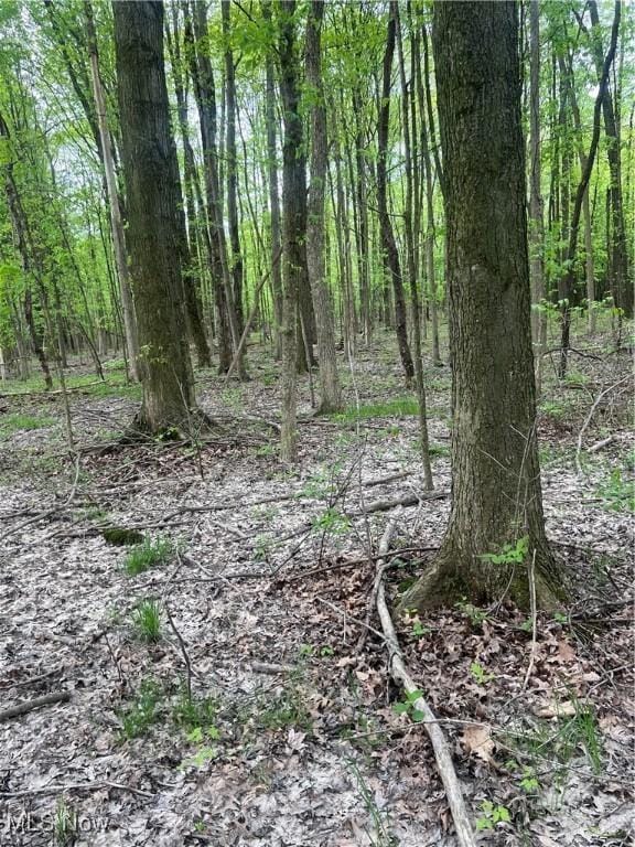 1025 Ohltown Rd, Youngstown, OH 44515 - view of wooded area