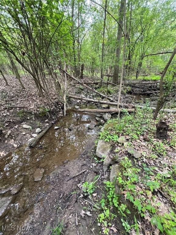 1025 Ohltown Rd, Youngstown, OH 44515 - view of undeveloped land