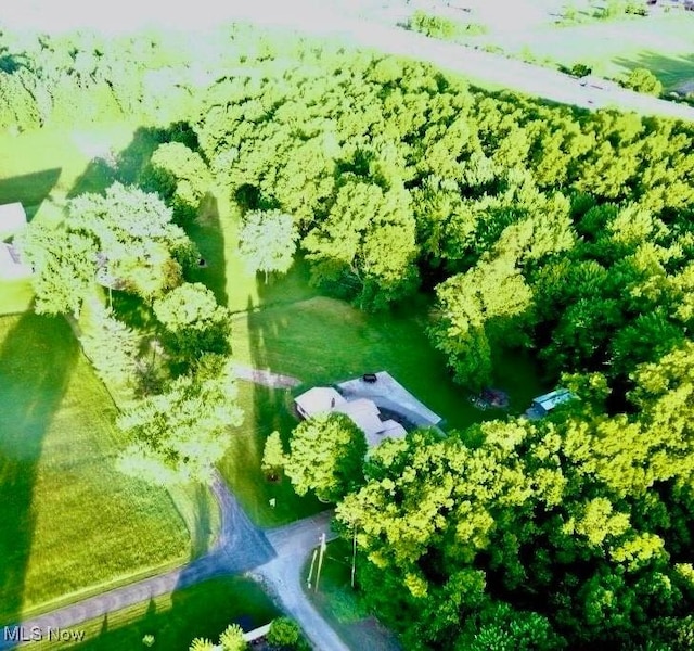 1025 Ohltown Rd, Youngstown, OH 44515 - drone / aerial view