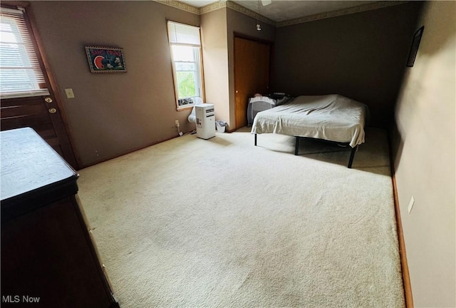 view of carpeted bedroom