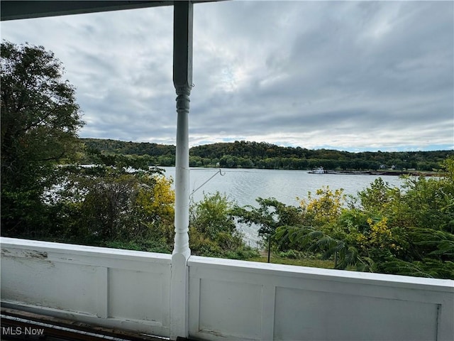 water view with a view of trees