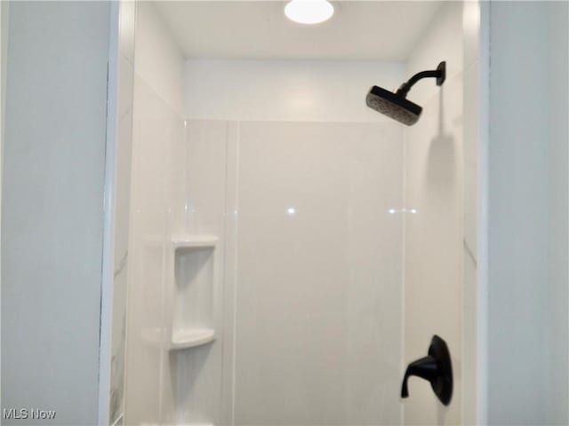 full bathroom with walk in shower