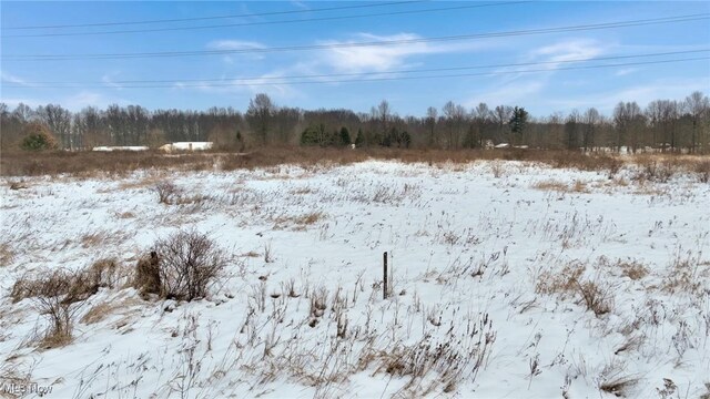 State Route 82, Newton Falls, OH 44444 - photo 5