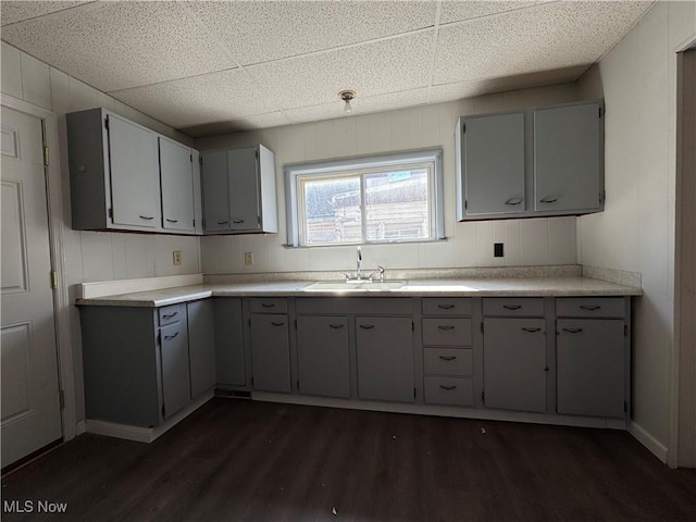 kitchen with a drop ceiling, dark wood finished floors, a sink, and gray cabinetry