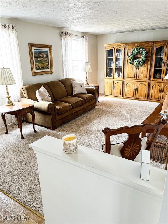 living area with a textured ceiling and carpet