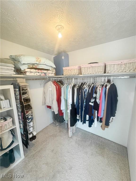 spacious closet featuring carpet floors