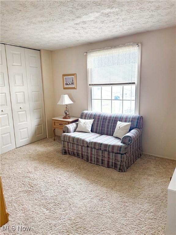 carpeted living room featuring a textured ceiling