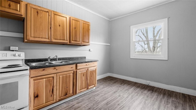 kitchen featuring a sink, electric stove, light wood finished floors, dark countertops, and crown molding