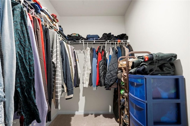 spacious closet with carpet flooring