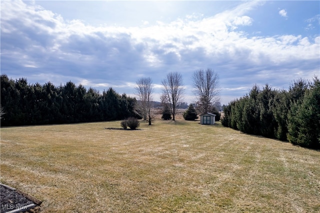 view of yard with an outdoor structure and a storage unit