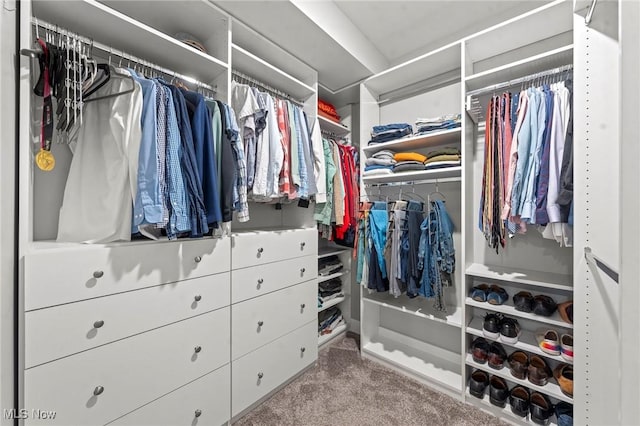 spacious closet featuring carpet flooring