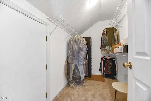 spacious closet with vaulted ceiling and carpet floors