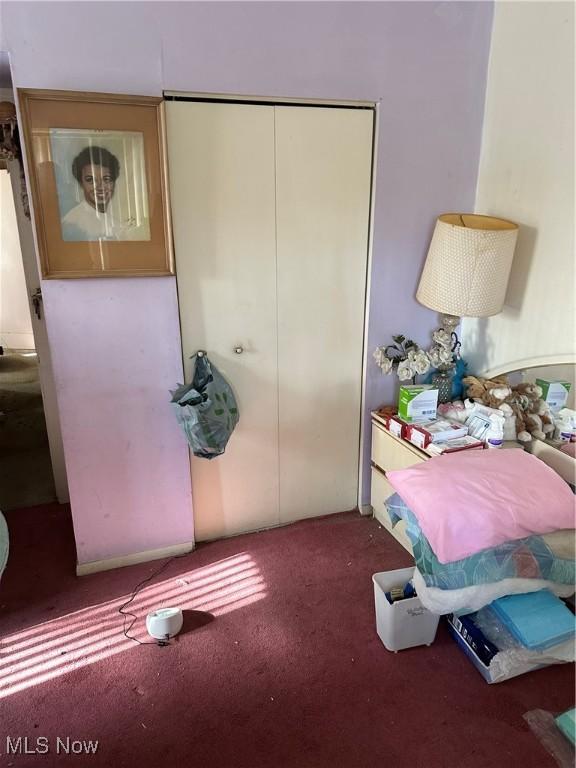 bedroom featuring carpet and a closet