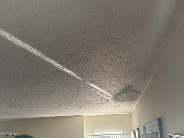 room details with a textured ceiling