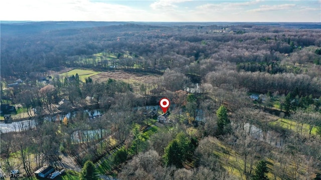 bird's eye view with a view of trees