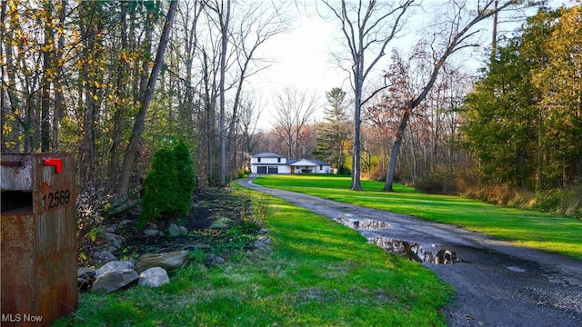 view of street featuring driveway