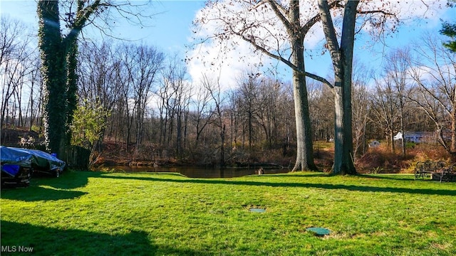 view of yard featuring a water view and a wooded view