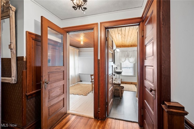 corridor featuring wood finished floors