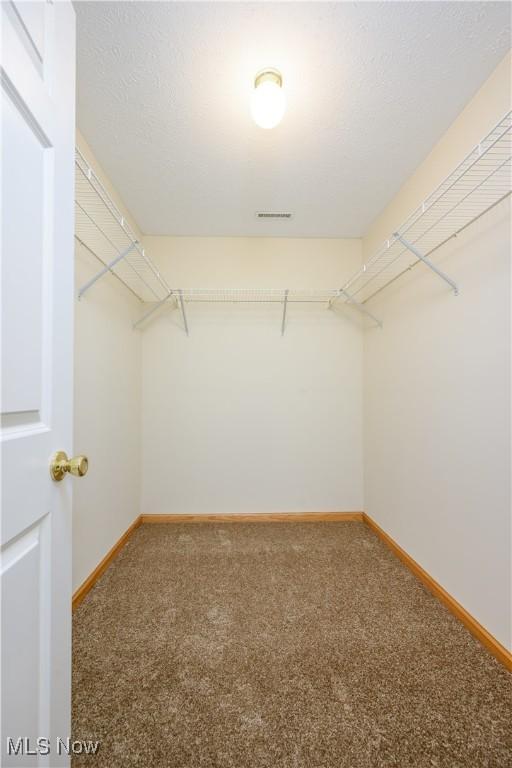 spacious closet featuring carpet