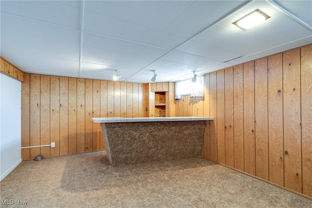 bar featuring a bar, wooden walls, and carpet flooring