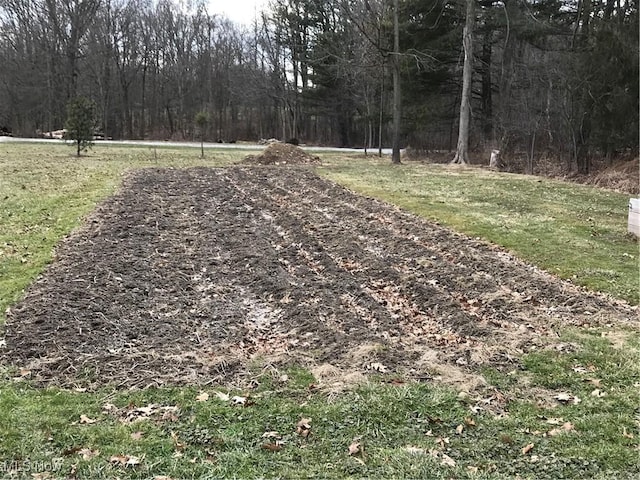 view of yard with a view of trees