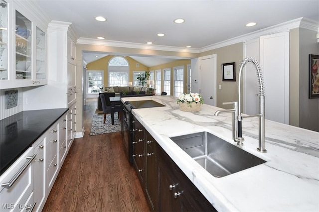 kitchen featuring dark wood-style floors, dark brown cabinets, glass insert cabinets, and white cabinets