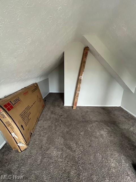 additional living space with lofted ceiling, carpet, and a textured ceiling