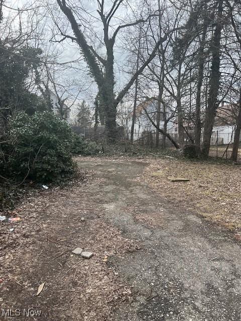 view of yard with dirt driveway