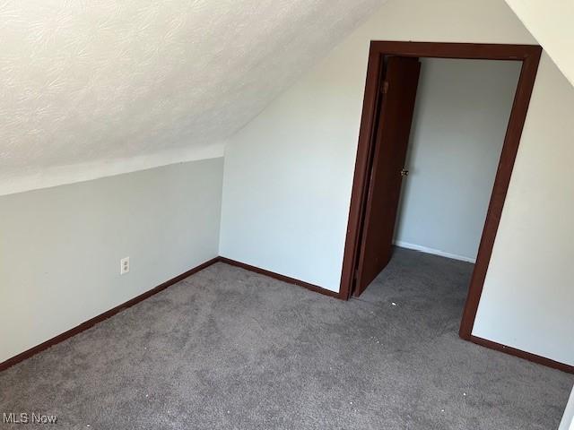 additional living space with a textured ceiling, carpet flooring, baseboards, and lofted ceiling