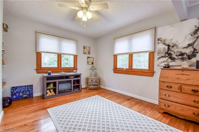 interior space featuring light wood-type flooring, a healthy amount of sunlight, and baseboards