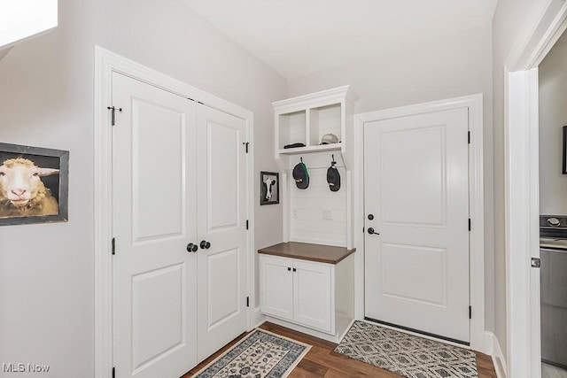 mudroom with dark wood finished floors