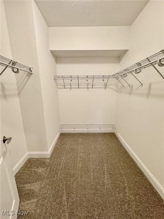 walk in closet with dark colored carpet