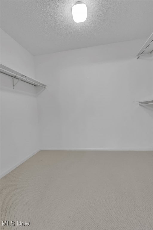 spacious closet featuring carpet