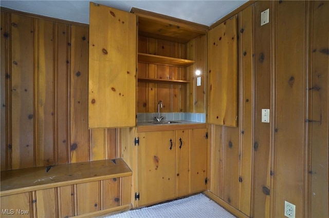 interior space featuring light carpet, wood walls, open shelves, and a sink