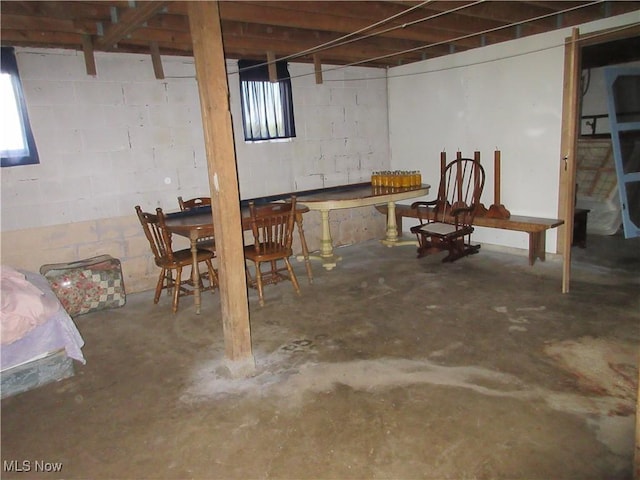 basement featuring concrete block wall