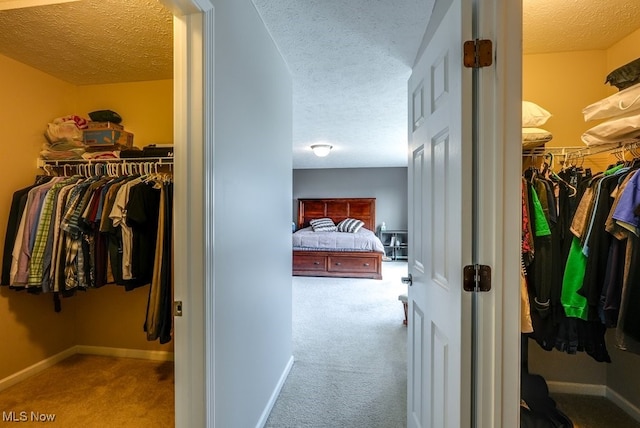 spacious closet with carpet floors