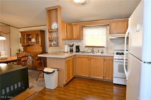 kitchen featuring dark wood-style flooring, light countertops, a sink, white appliances, and under cabinet range hood