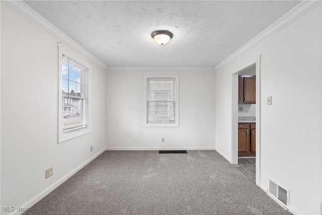 spare room with carpet floors, visible vents, crown molding, and a textured ceiling