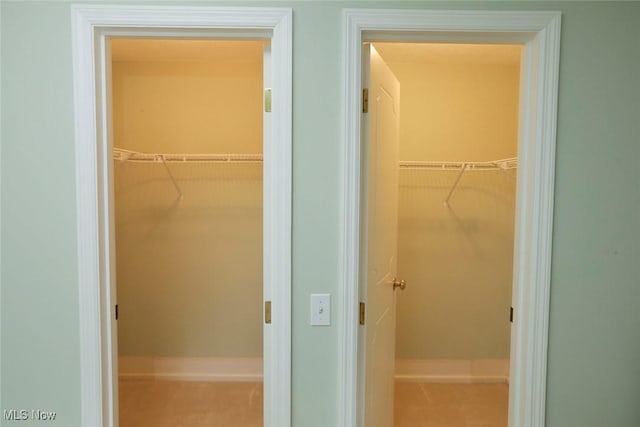 view of spacious closet