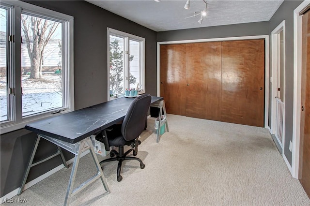 office with carpet floors