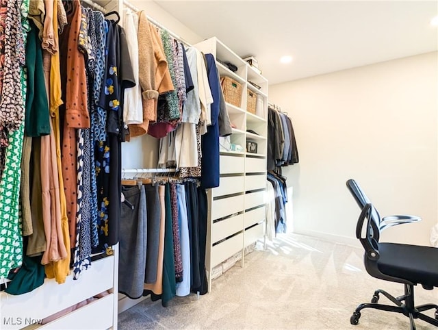 walk in closet with carpet floors