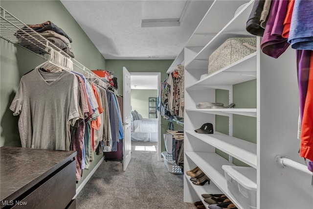 walk in closet featuring carpet flooring