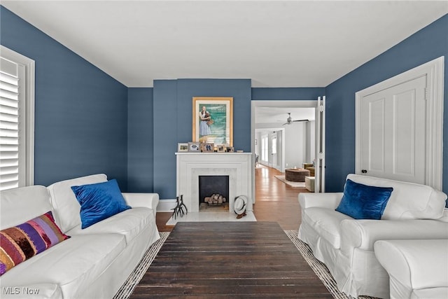 living area featuring wood finished floors and a fireplace with flush hearth