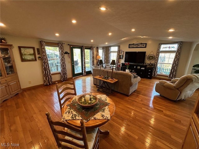 living room featuring lofted ceiling, a textured ceiling, wood-type flooring, and a healthy amount of sunlight