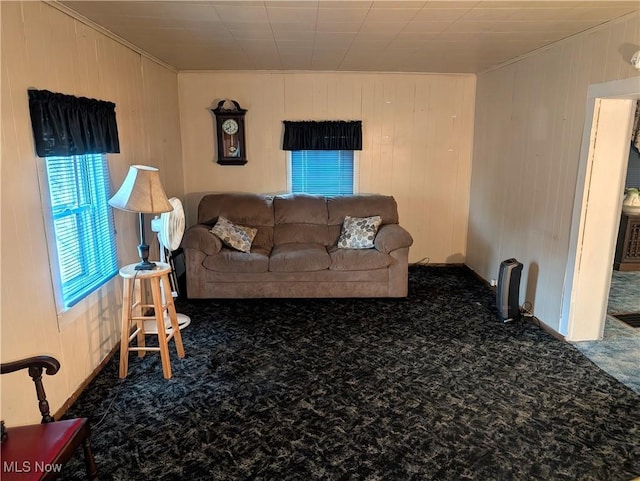 view of carpeted living area