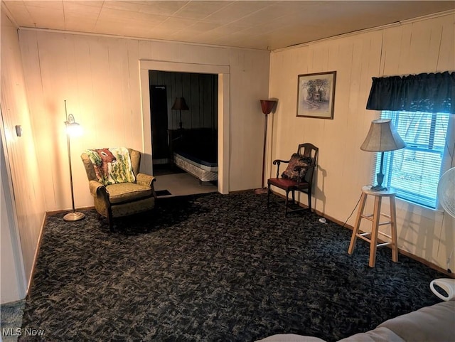 living area with carpet floors