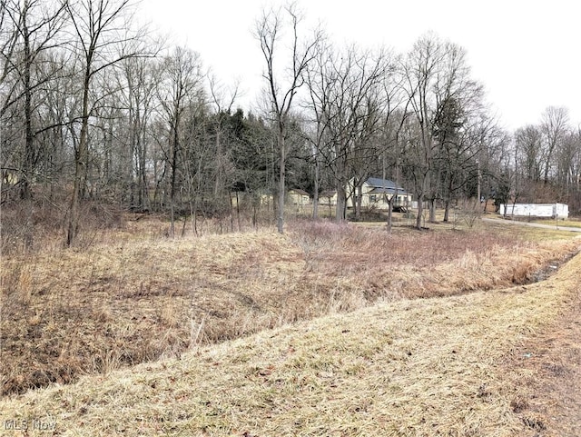 view of local wilderness