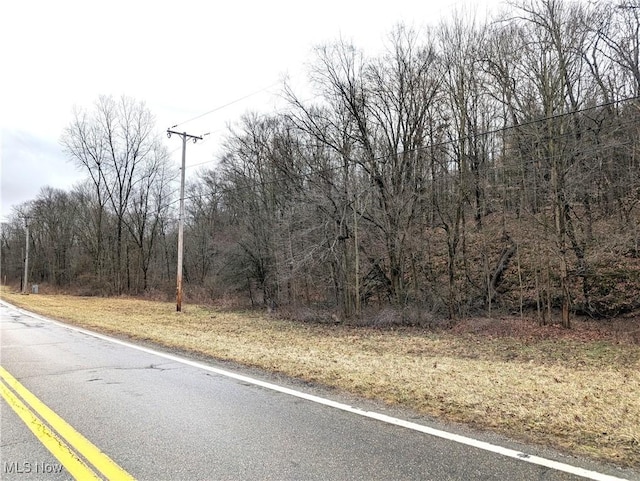 view of road with a forest view