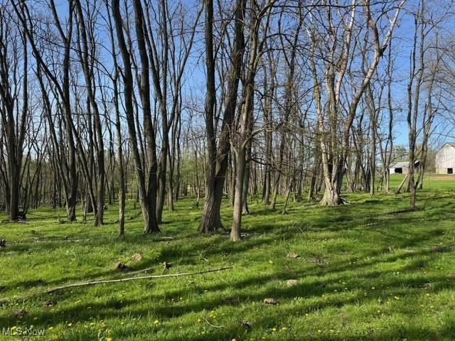 V/L Wooster Pike, Seville, OH 44273